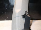 Rear seatbelt