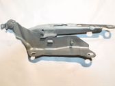 Tailgate/trunk/boot hinge