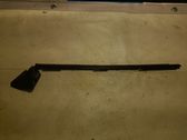 Rear door trim (molding)