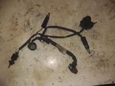 Cableado de instalación del motor