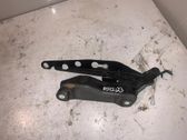 Tailgate/trunk/boot hinge