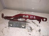 Tailgate/trunk/boot hinge