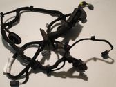 Other wiring loom