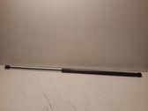 Front bonnet/hood damper/strut