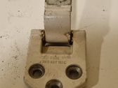 Rear door lower hinge
