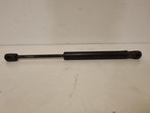 Tailgate/trunk strut/damper