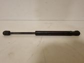 Tailgate/trunk strut/damper