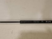 Tailgate/trunk strut/damper