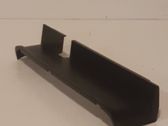Rear/tail light trim molding