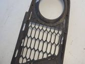 Front fog light trim/grill