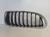 Front grill