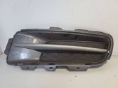 Front bumper lower grill