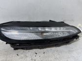 Front fender indicator light