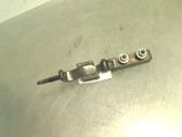 Tailgate/trunk/boot hinge