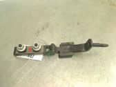 Tailgate/trunk/boot hinge