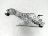 Tailgate/trunk/boot hinge