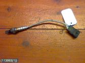 Sonde lambda