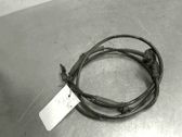 ABS Sensor hinten