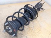 Front shock absorber with coil spring