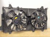 Electric radiator cooling fan