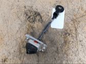 Rear door check strap stopper
