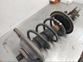 Front shock absorber with coil spring
