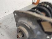 Front shock absorber with coil spring