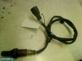 Sonde lambda