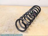 Rear coil spring