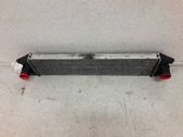 Radiador intercooler