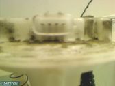 Fuel injection high pressure pump
