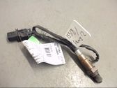 Sonde lambda