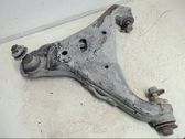 Front lower control arm/wishbone