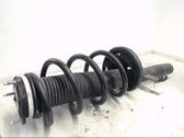 Front shock absorber with coil spring