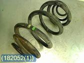 Rear coil spring