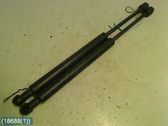 Tailgate strut