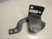 Tailgate/trunk/boot hinge