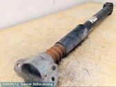 Stoßdämpfer hinten