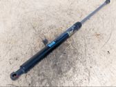 Tailgate strut