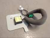 Radion antenni