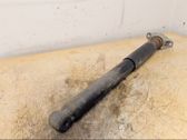 Rear shock absorber/damper