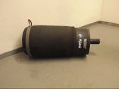 Rear air suspension bag/shock absorber
