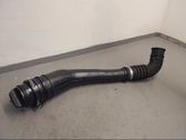 Fuel tank filler neck pipe