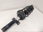 Front shock absorber with coil spring