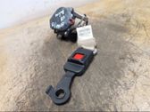 Cinturón trasero