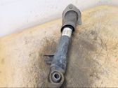 Stoßdämpfer hinten