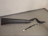 Tailgate/trunk strut/damper