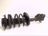 Front shock absorber with coil spring