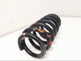 Rear coil spring