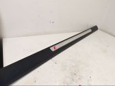 Front sill trim cover